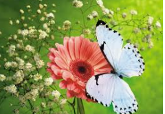 Foto de BEM VINDO SETEMBRO!!!